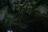 Depths