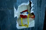 Torn to Shreds