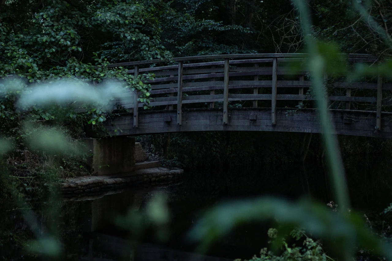 Troubled Waters